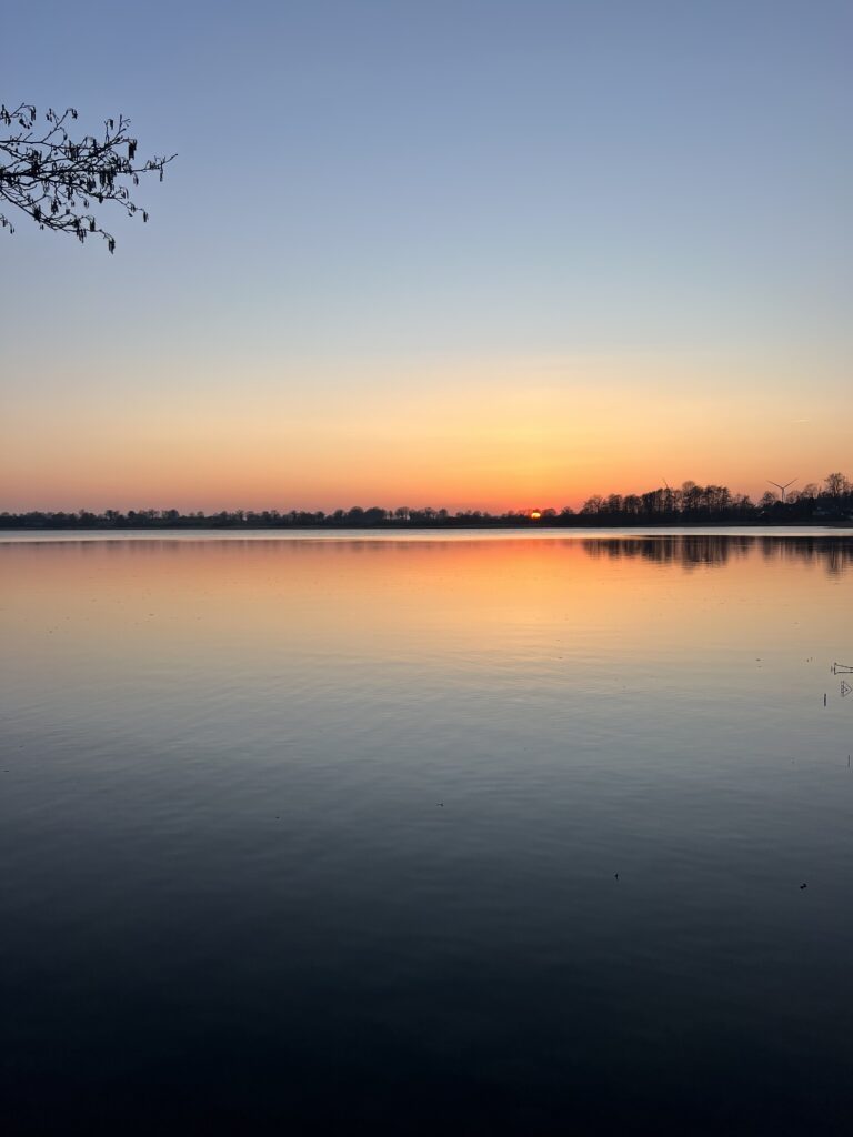 IMG_2334